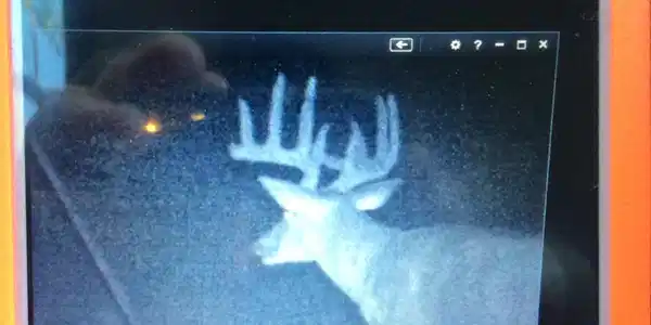 Image 4: a great deer place