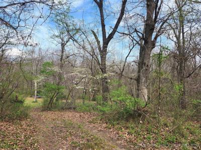 E Shade Tree Path