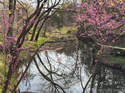 101 E State 31 Highway