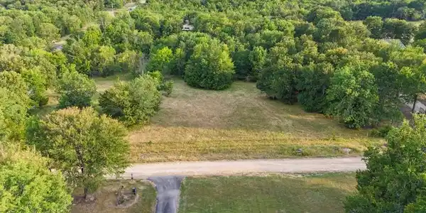 Image 2: Expansive land parcel with surrounding mature tree