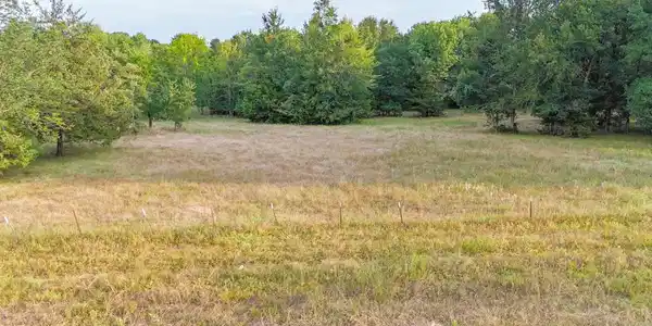 Image 4: Expansive cleared land featuring a natural tree li