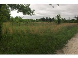 Lots 1 & 2 L. Street
