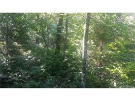 Lot 53 McCoy Road