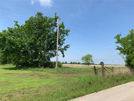 Bison Road