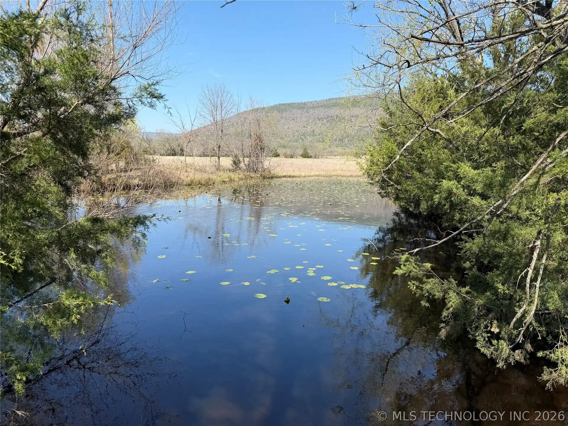 Image 1: pond