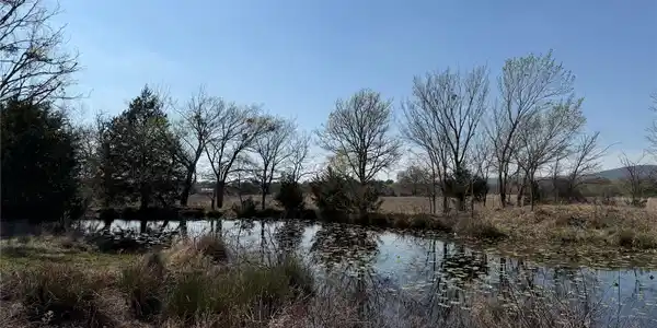 Image 2: pond