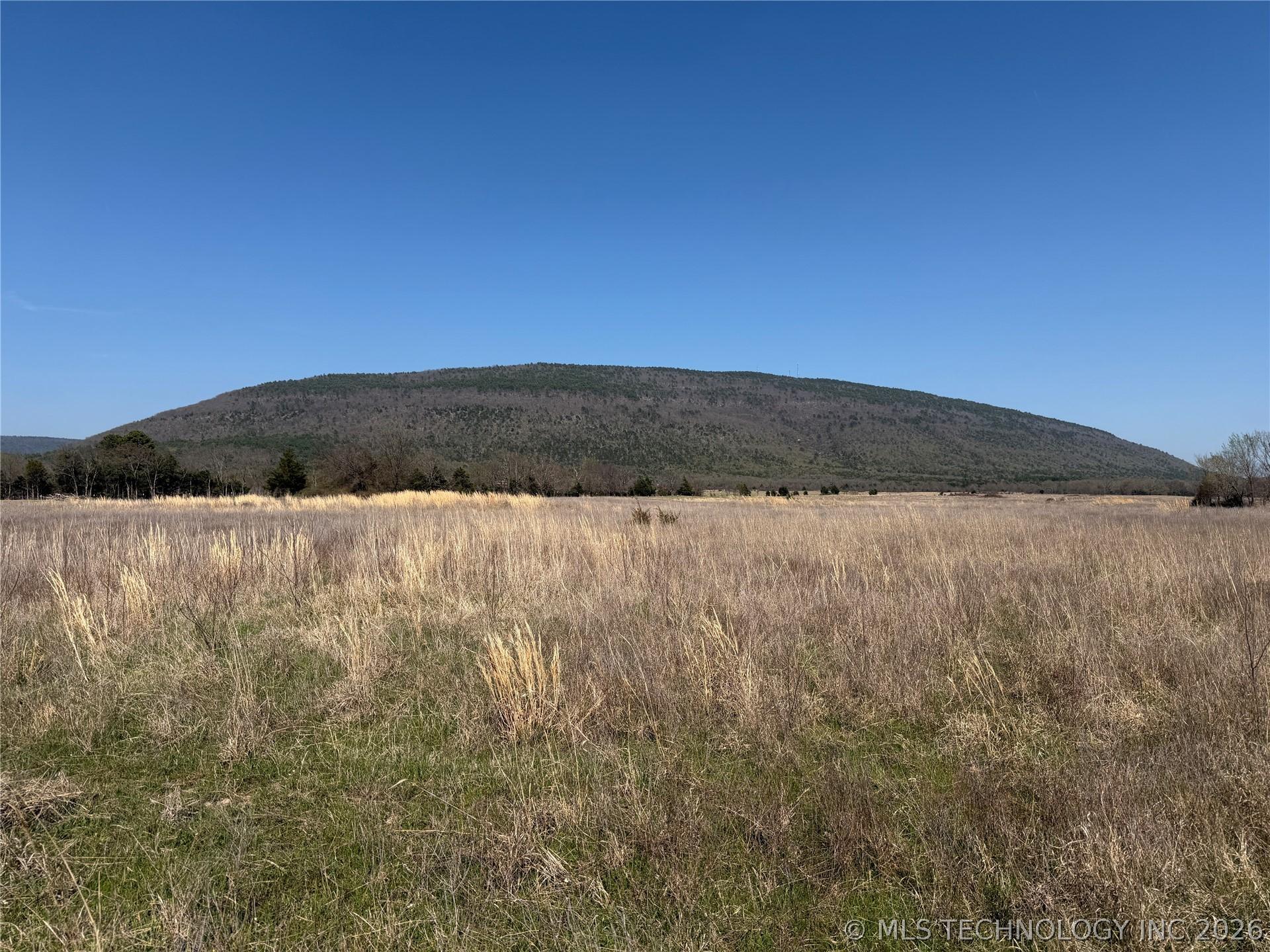 Image 4: view of Buffalo Mountain