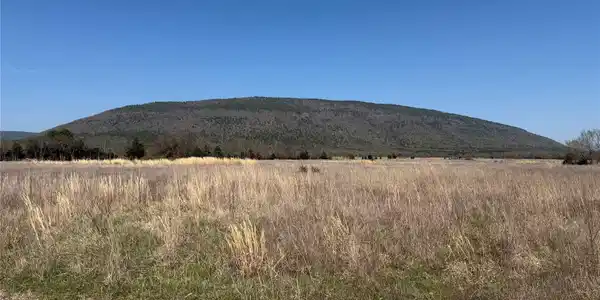 Image 4: view of Buffalo Mountain