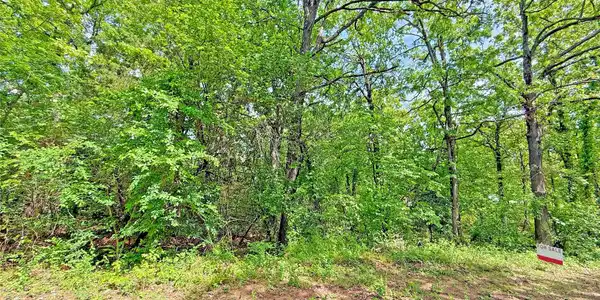 1 Homestead Lane