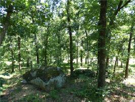 Lt 12 Duchess Creek Est V 4296 Road