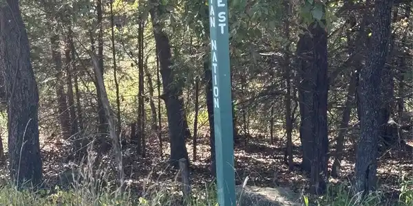 Grove