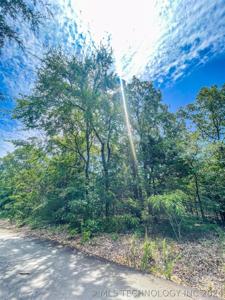 11 Skyline Drive