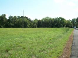 Sycamore Avenue