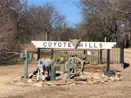 Coyote Hills Drive