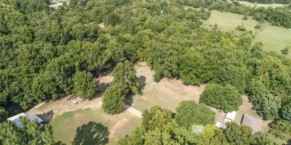 Image 4: Expansive natural landscape featuring abundant mat