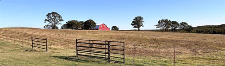 161 County Road 2280