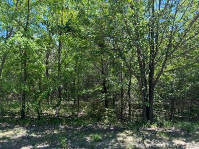 S 338 Avenue