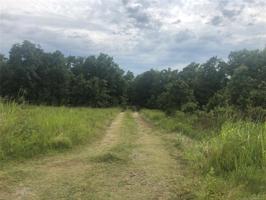 3373 County Road 2535