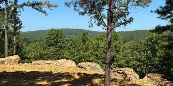 002 E Bolen Hollow W