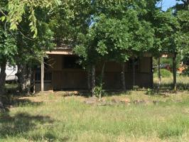 427 Williams Drive