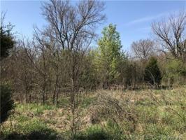 Spring Creek Drive