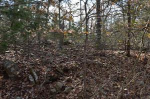 Stone Hollow Lane