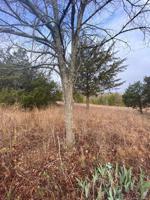 2578 Caddo Road
