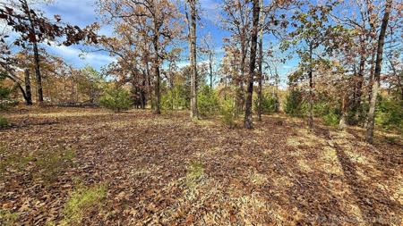 225 W Budinot Drive