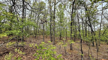 15208 Overland Drive
