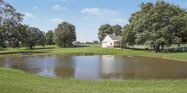 Image 4: Peaceful Pond