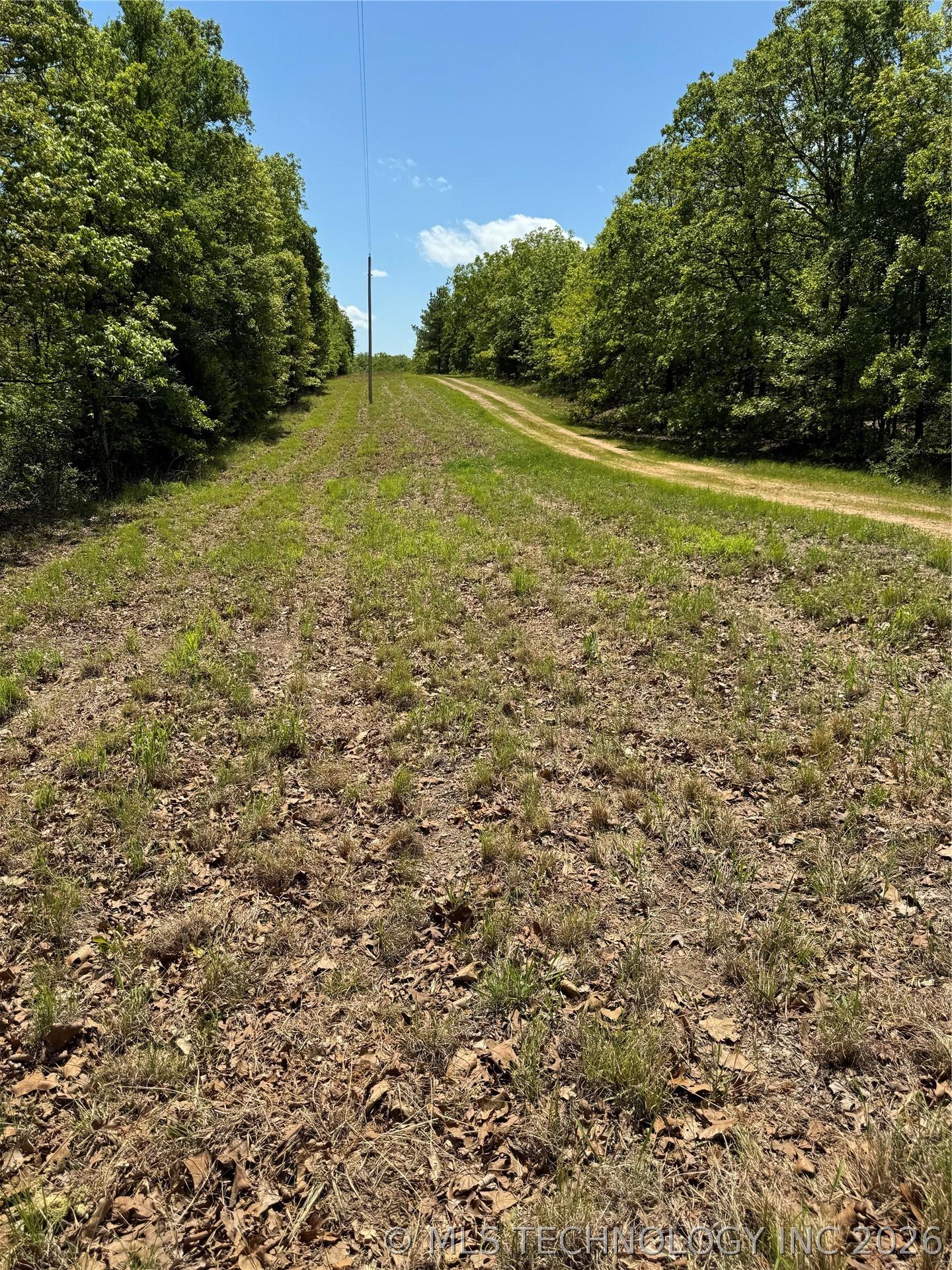 Image 3: S 4532 Road looking South