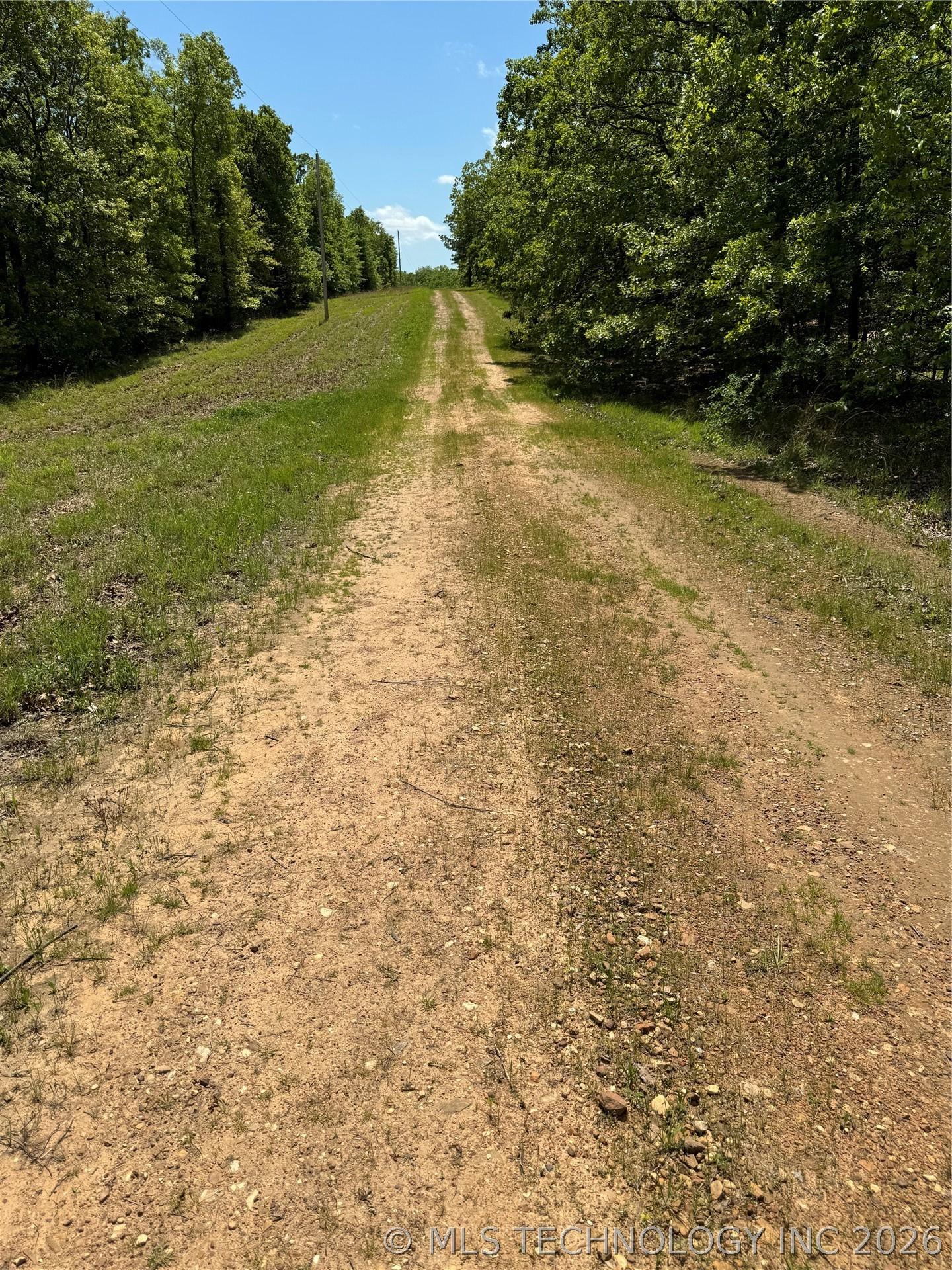 Image 4: Lot on Left