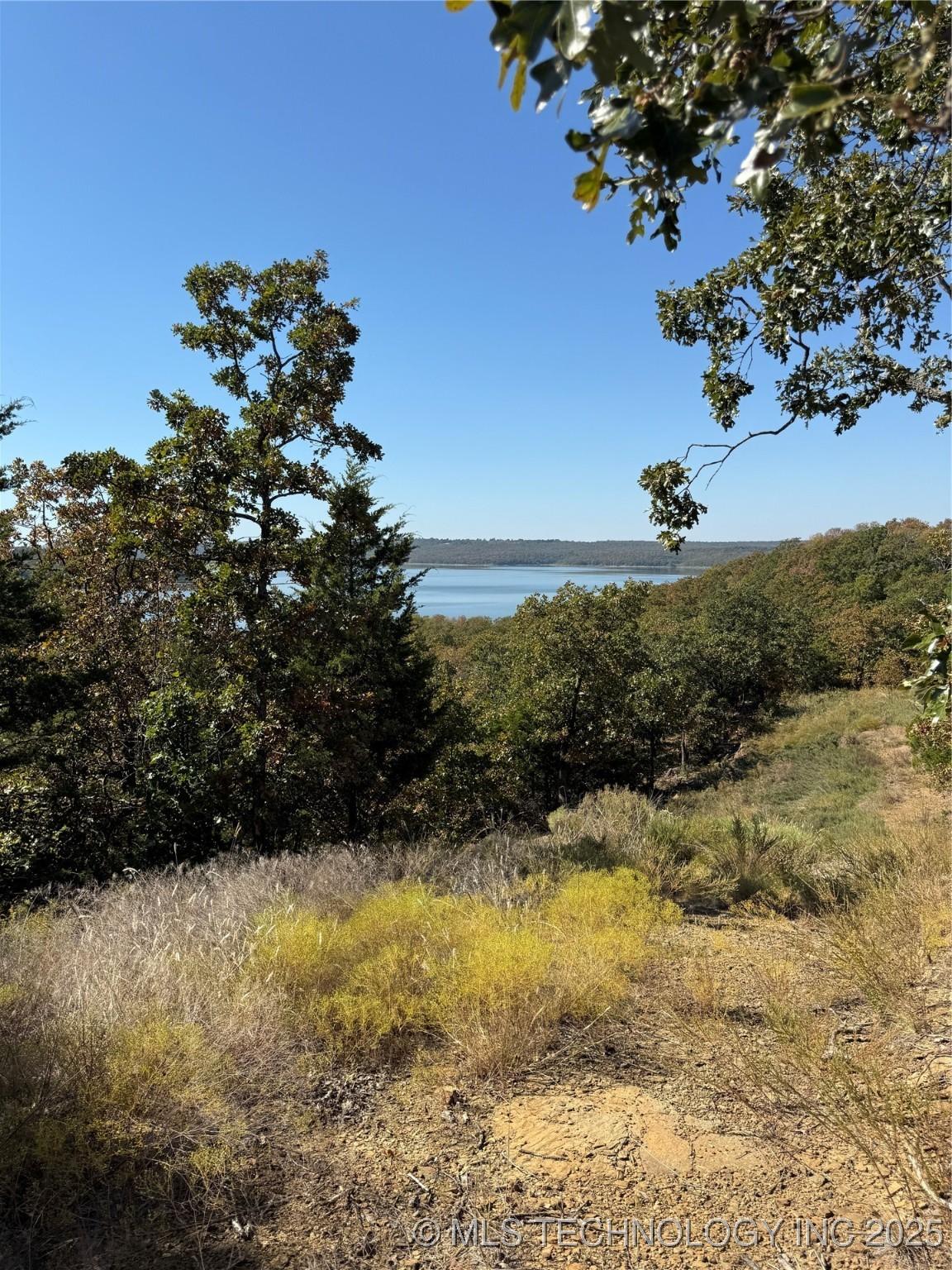 Image 1: Lot 11