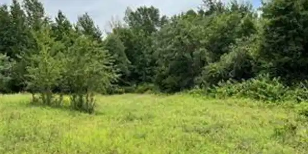 753 N County Road 4360