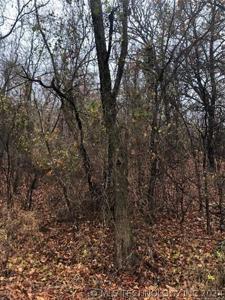 Maplebrook Lane