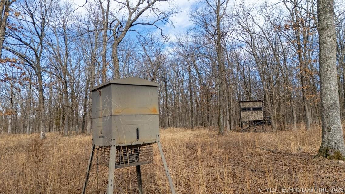 Image 3: Wooded property featuring a camouflage blind and a