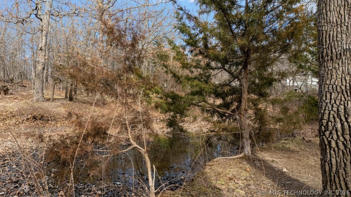 Image 4: Natural landscape featuring a small water feature,