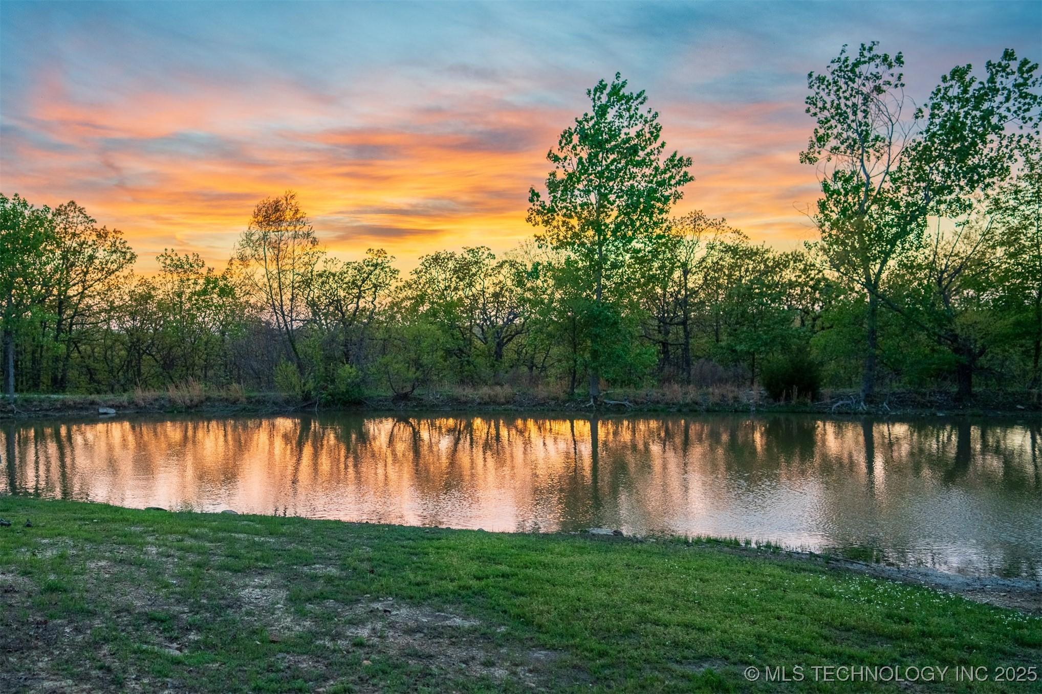 Image 4: stocked pond