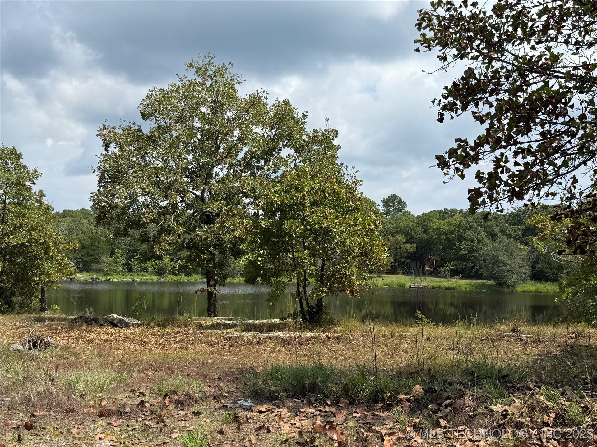 Image 2: Beautiful view of pond across the road