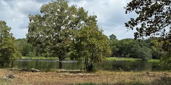 Image 2: Beautiful view of pond across the road