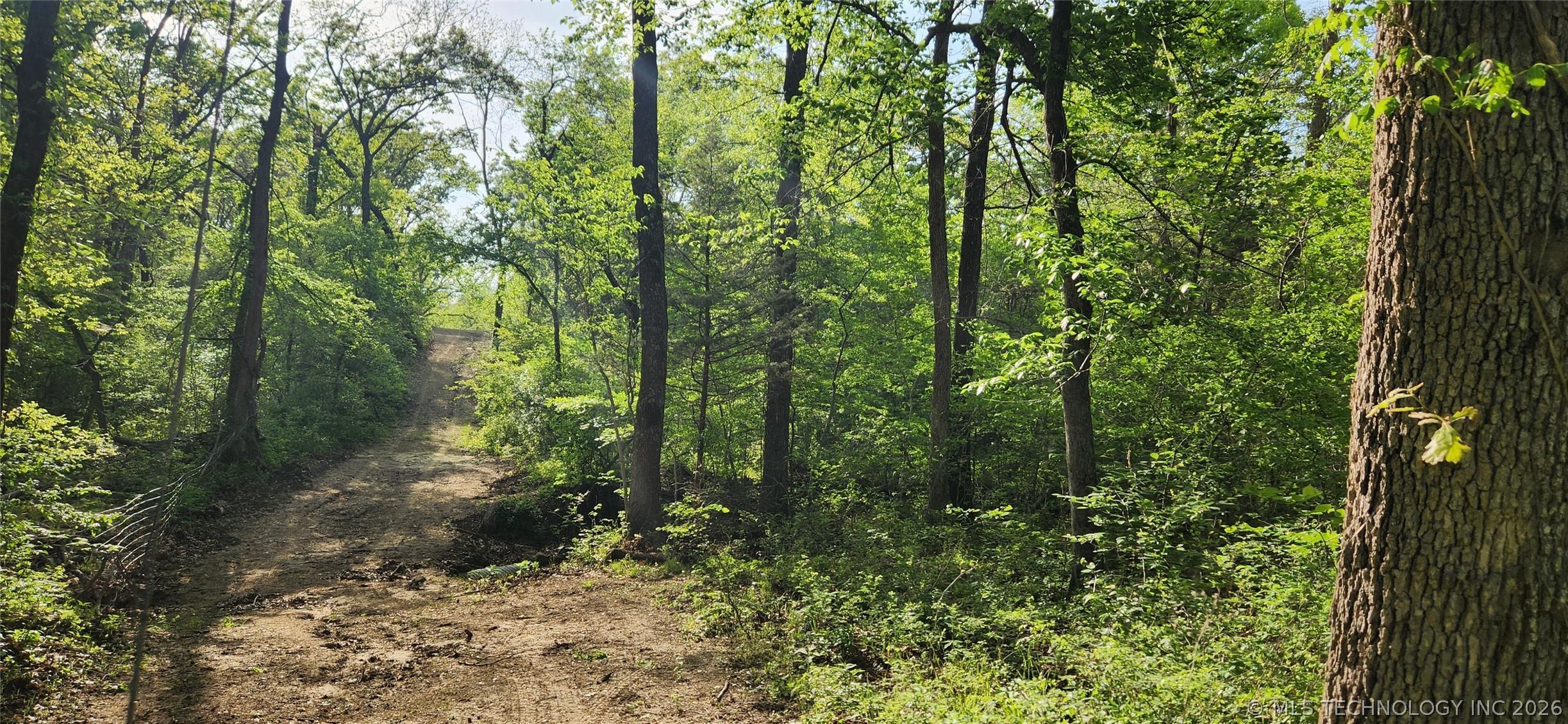 Image 2: Wooded area