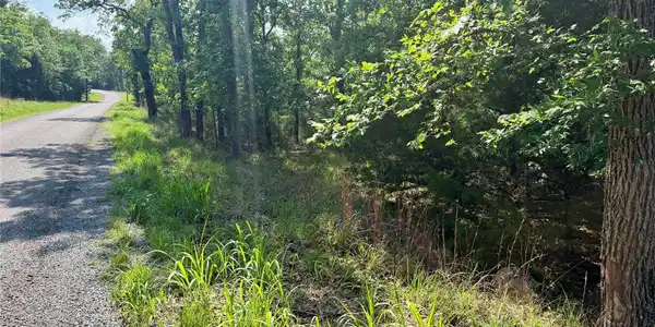20 Council Tree Drive