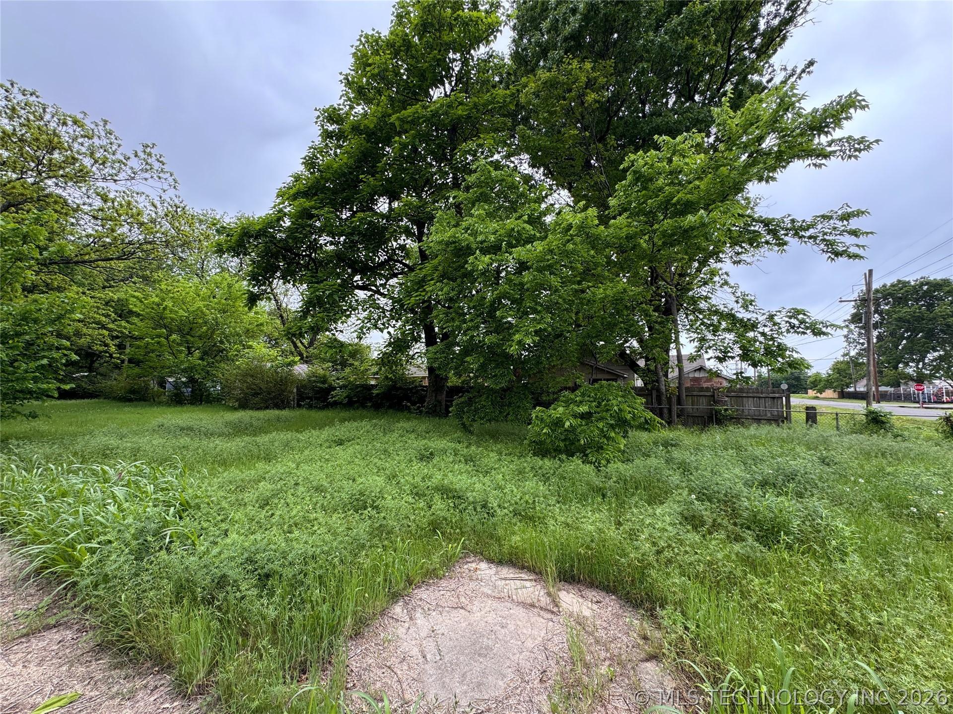 Image 4