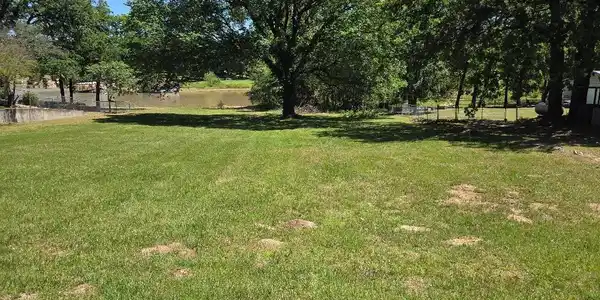 Quail Drive