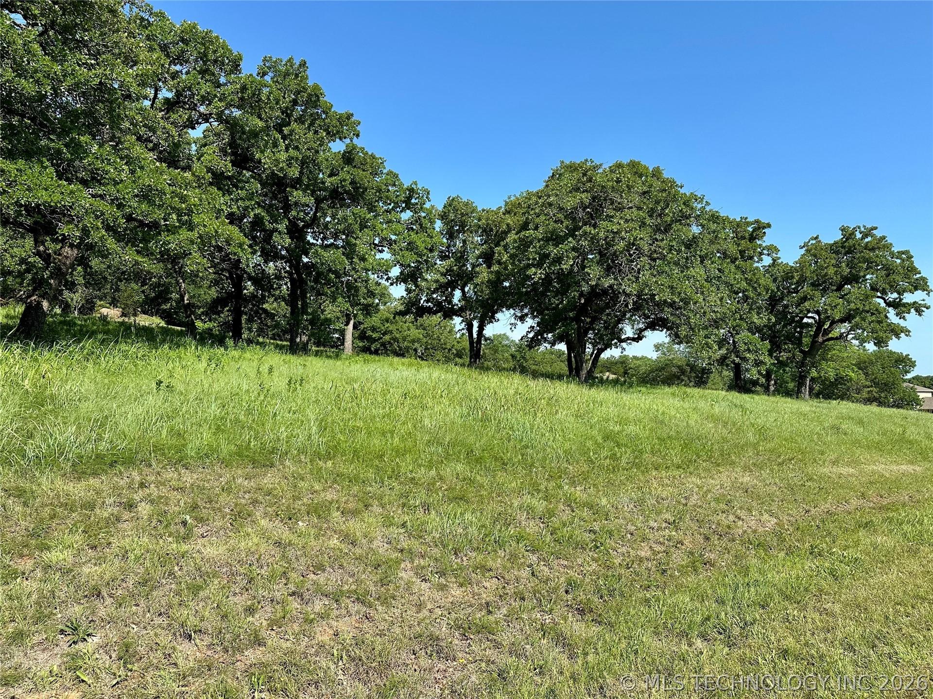 Image 2: Expansive grassy terrain featuring mature trees