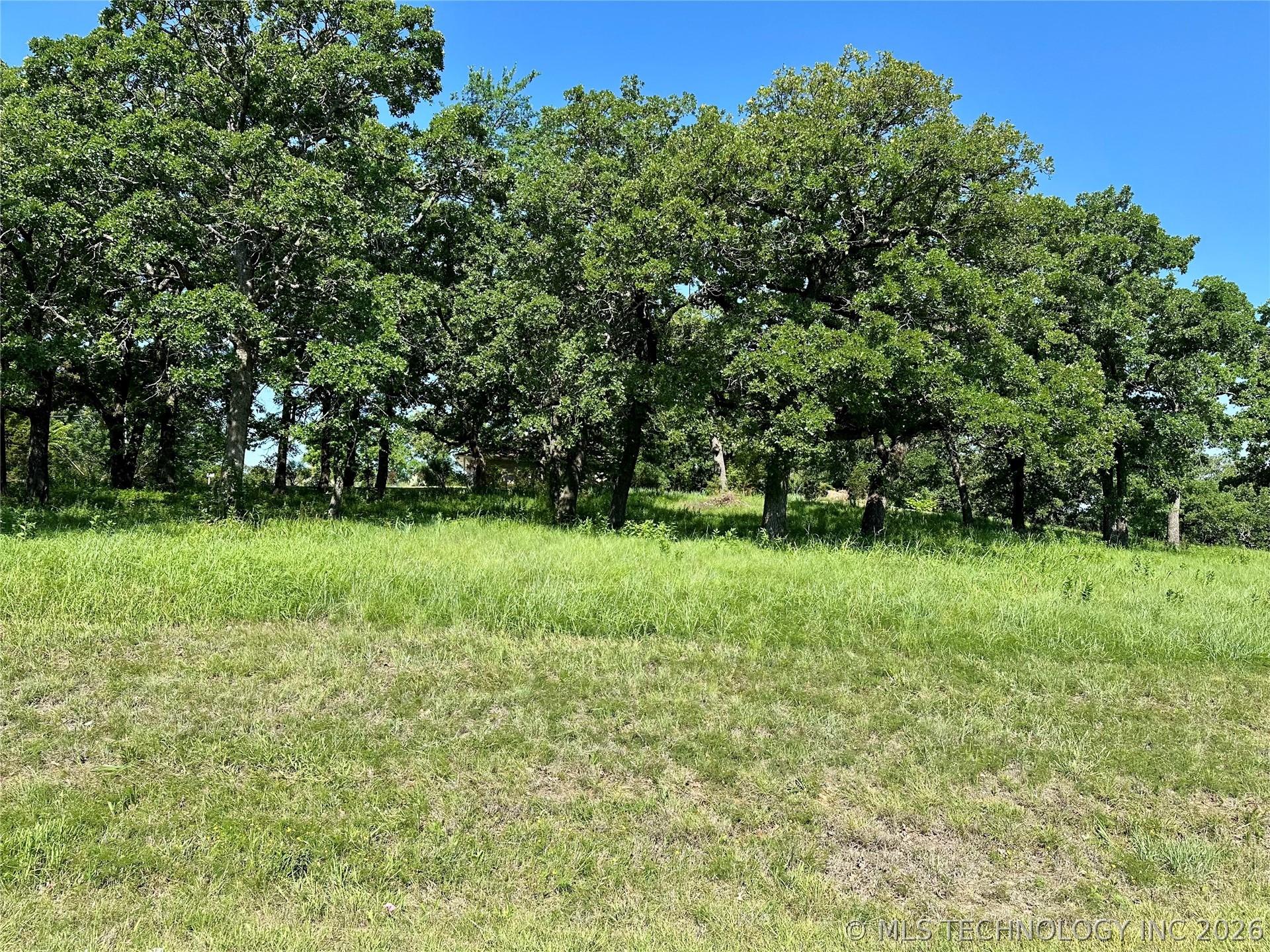 Image 3: Expansive green lawn with a tree line of mature tr