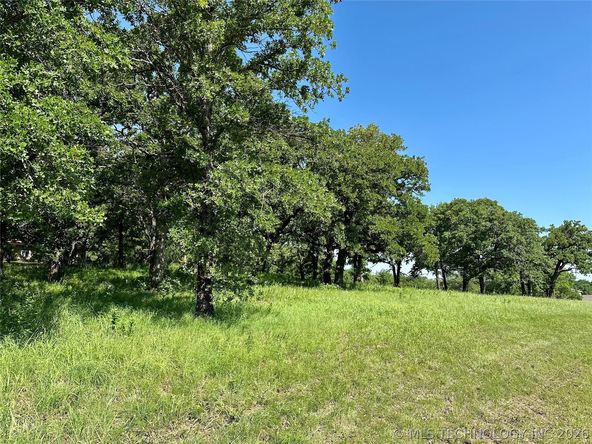 Image 4: Expansive green space featuring mature trees and n