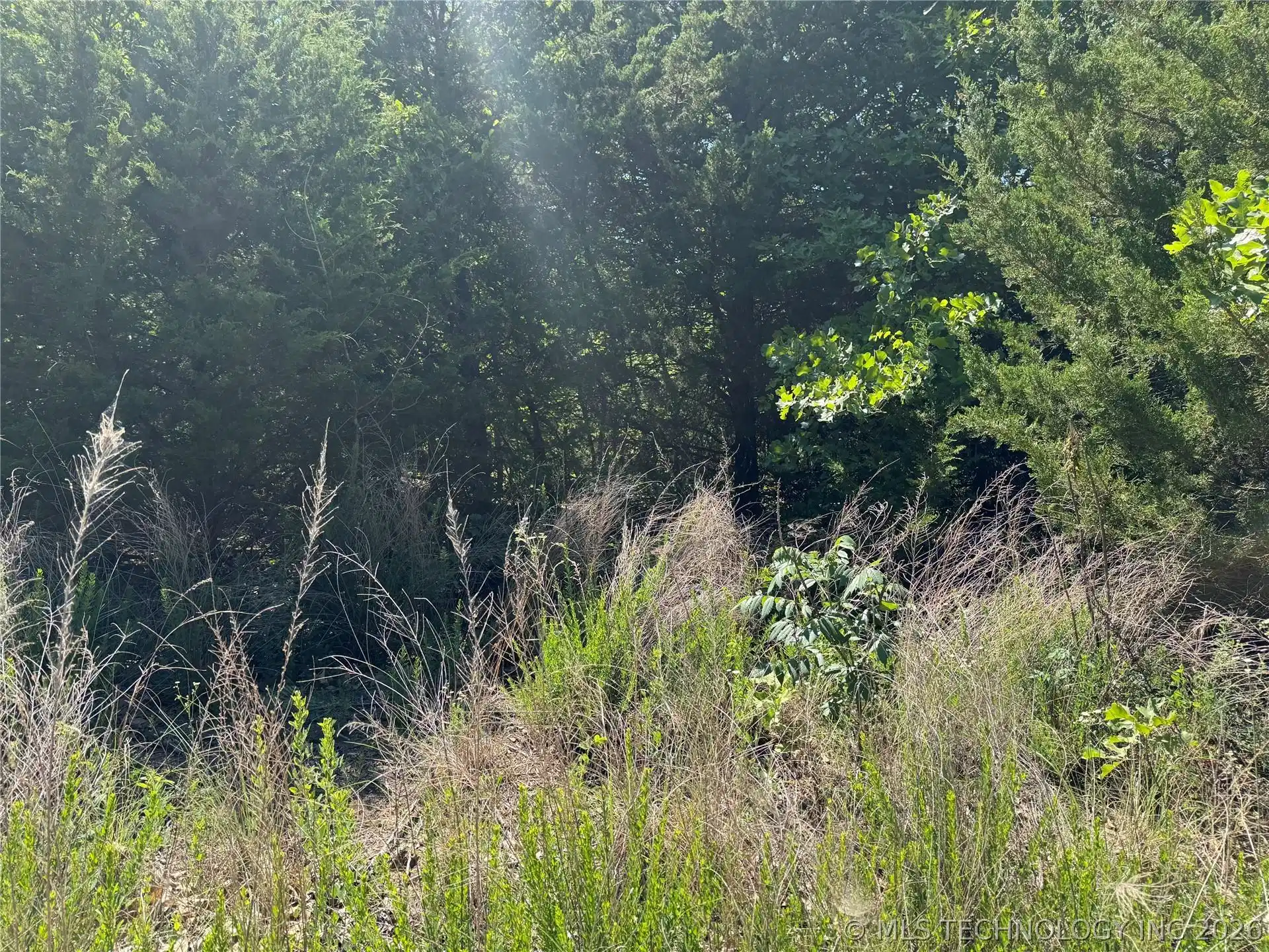Image 1: Mature Trees on Lot 1/2 Acre
