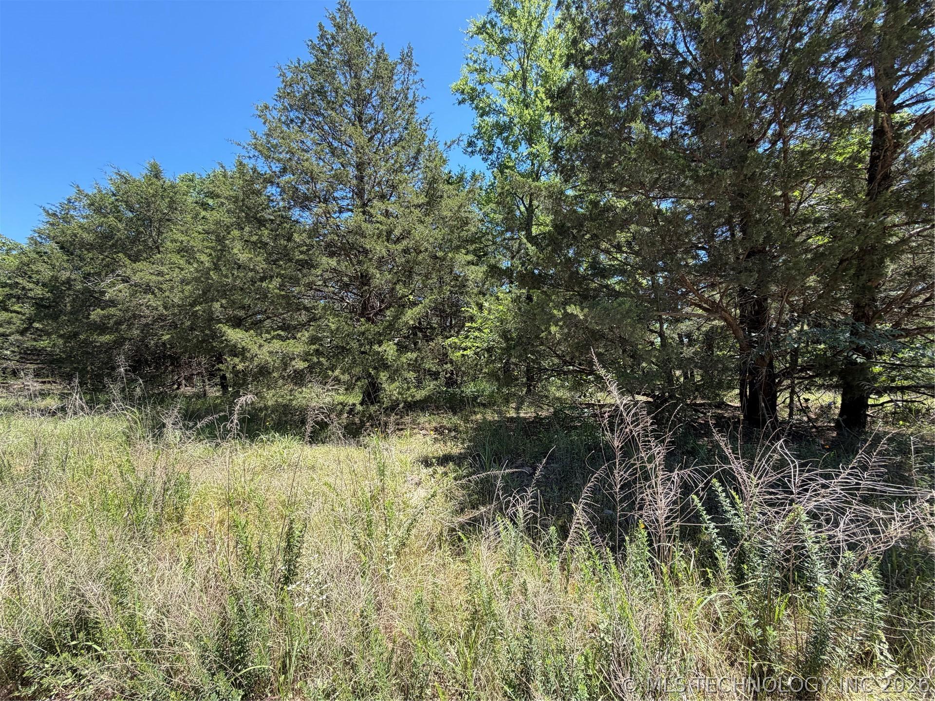 Image 2: Expansive parcel featuring a natural landscape wit