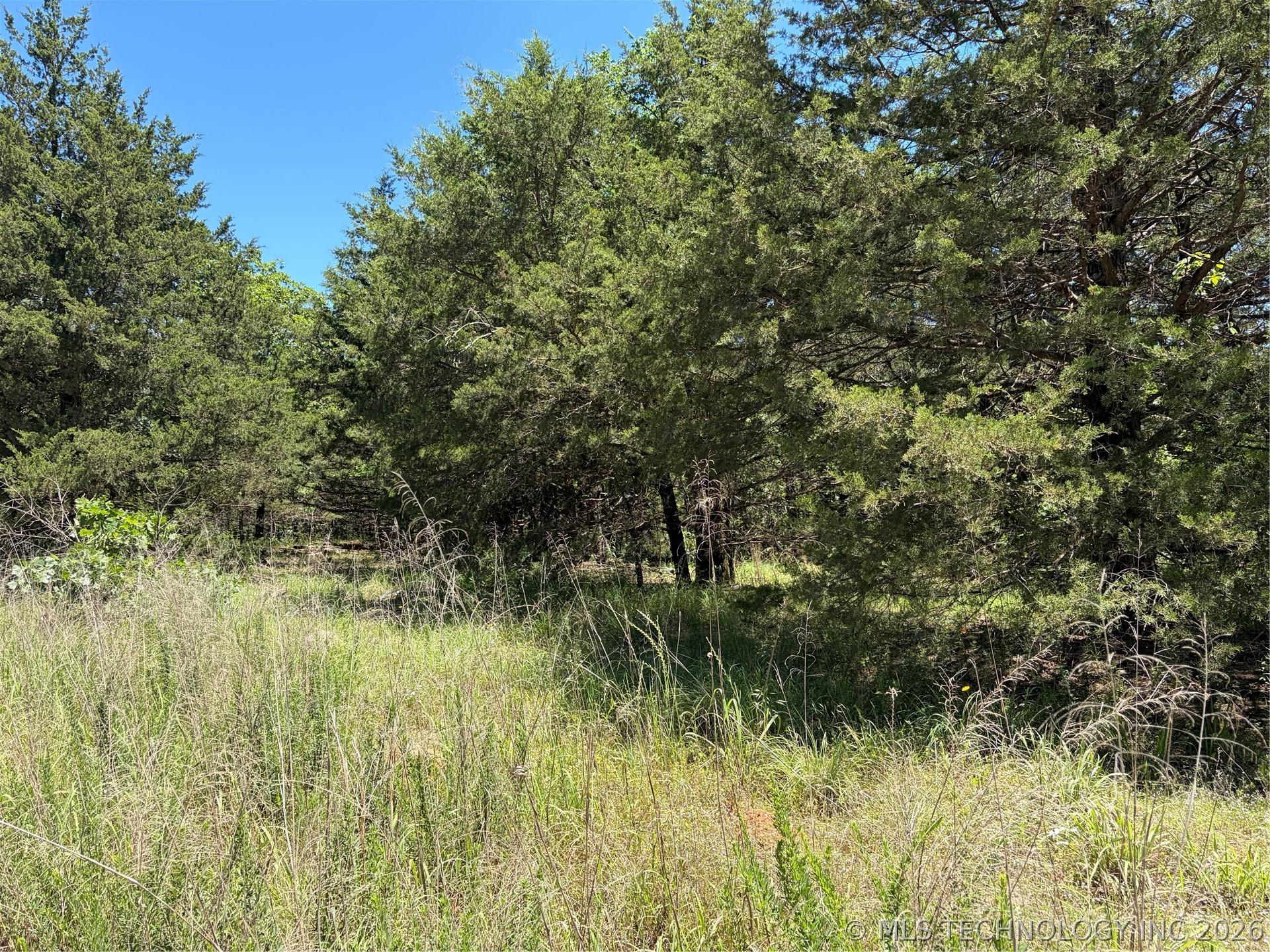 Image 3: Expansive natural landscape featuring varied green